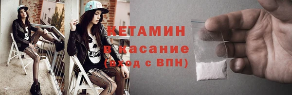 индика Алексин