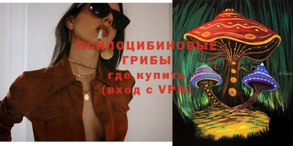индика Алексин