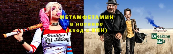 индика Алексин